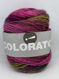 Colorato Aktion - Baer-Lys_oliven-Hindbaer-Bordeaux