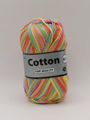 Cotton 8/4 - Rainbow